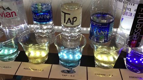 testing bottled water science fair project|experiments on water quality.